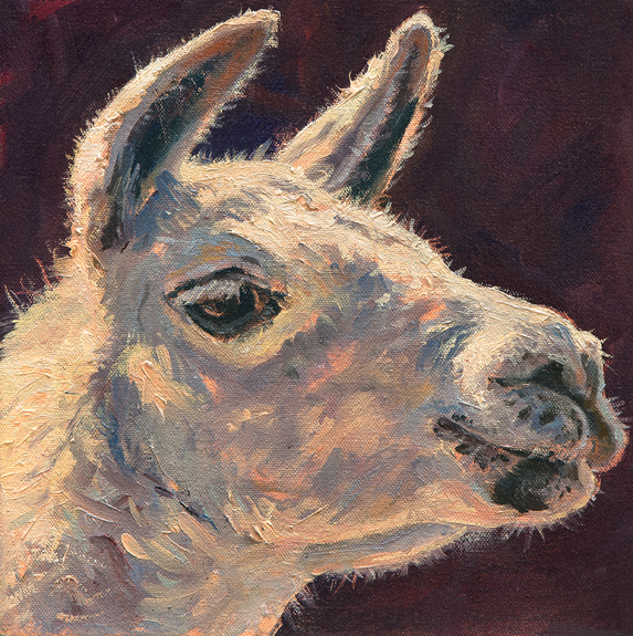 "Larry the Llama"